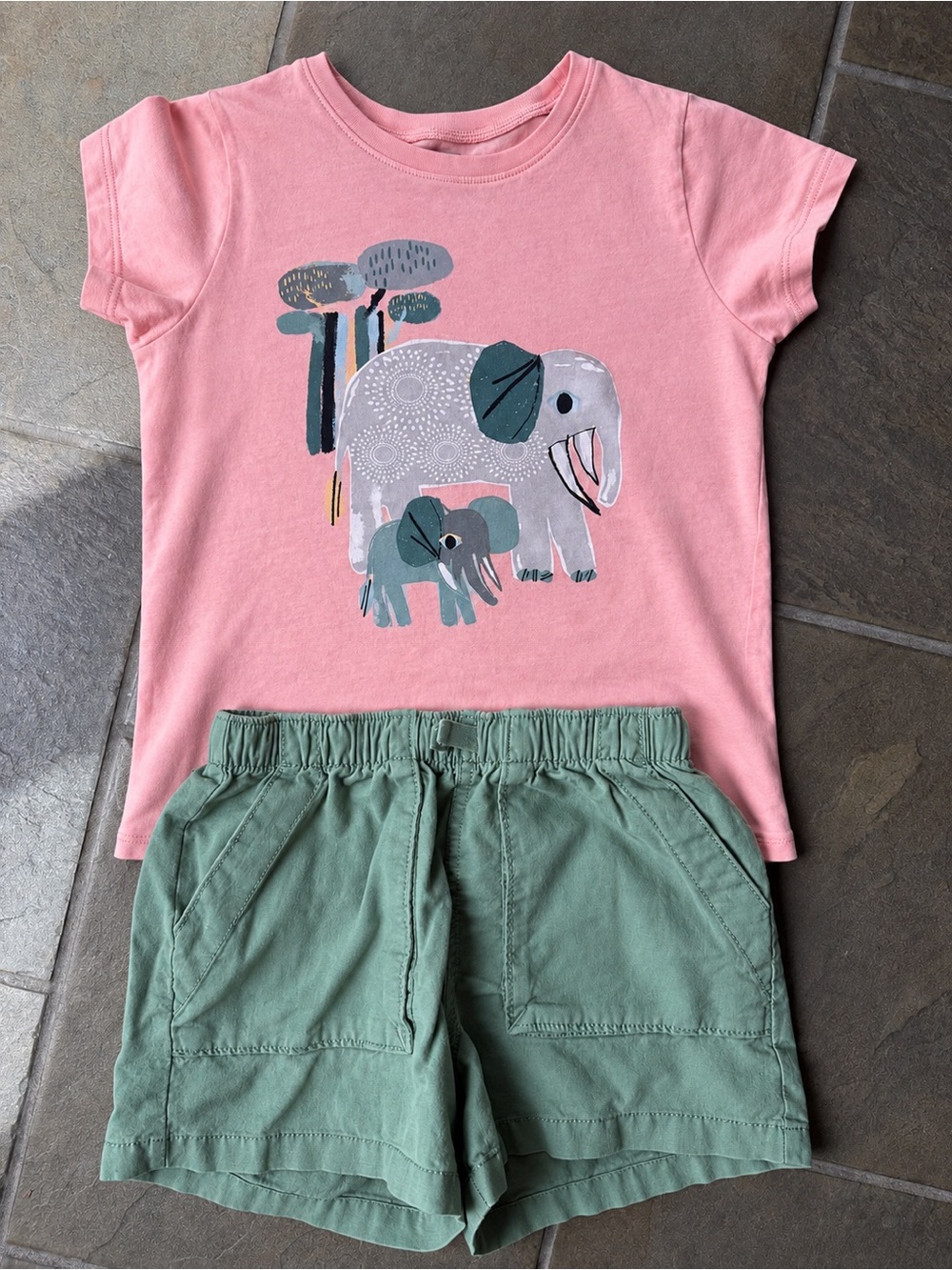 Tea Collection Pink Elephant Tee and Green Shorts Set